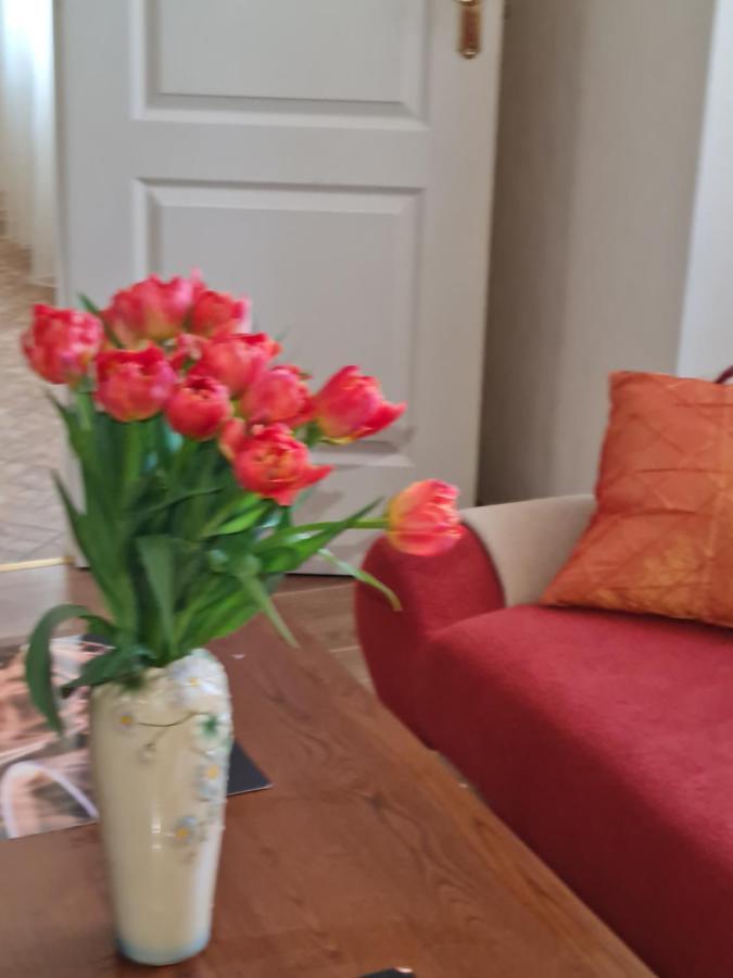 Lacplesa Central Apartments Riga Ngoại thất bức ảnh
